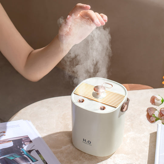 Ultimate Comfort: Dual Spray Mute Portable Humidifier for Home & Office