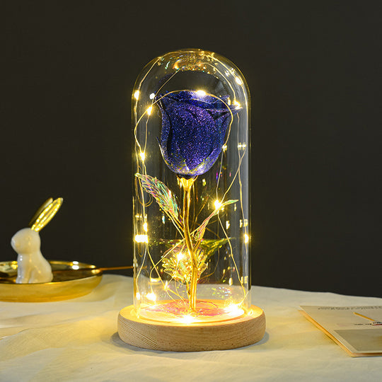 Eternal Rose in Glass Dome with LED Light for Girlfriend