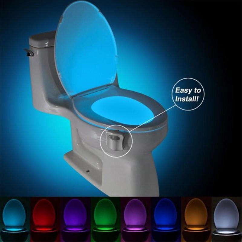 Motion Sensor LED Night Light for Toilets & Bathrooms