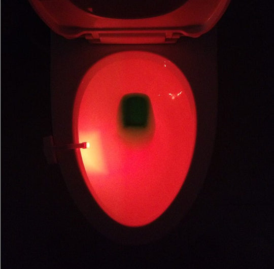 Motion Sensor LED Night Light for Toilets & Bathrooms
