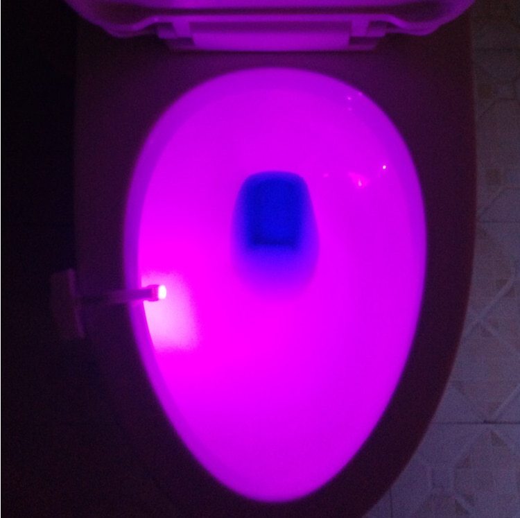 Motion Sensor LED Night Light for Toilets & Bathrooms