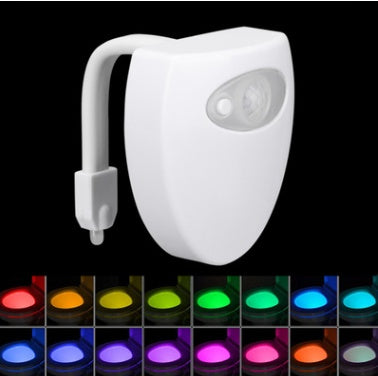 Motion Sensor LED Night Light for Toilets & Bathrooms