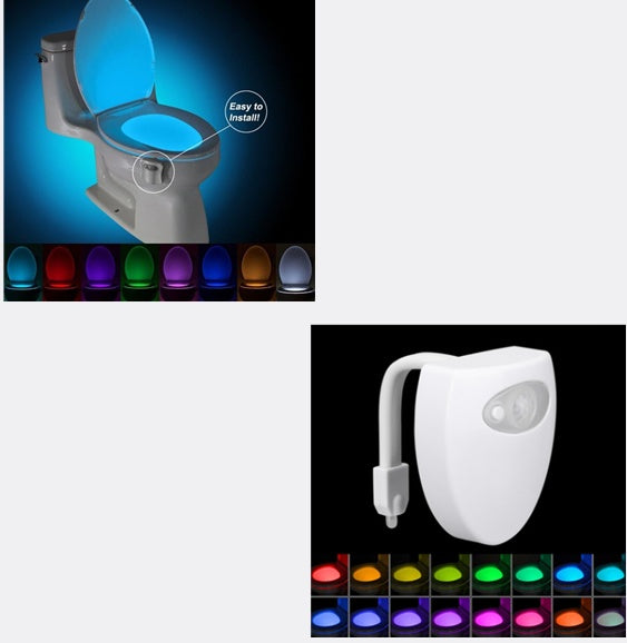 Motion Sensor LED Night Light for Toilets & Bathrooms
