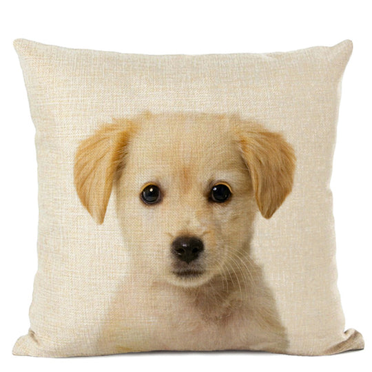 Adorable Animal Print Pillow Covers - Cute Decorative Throw Pillows