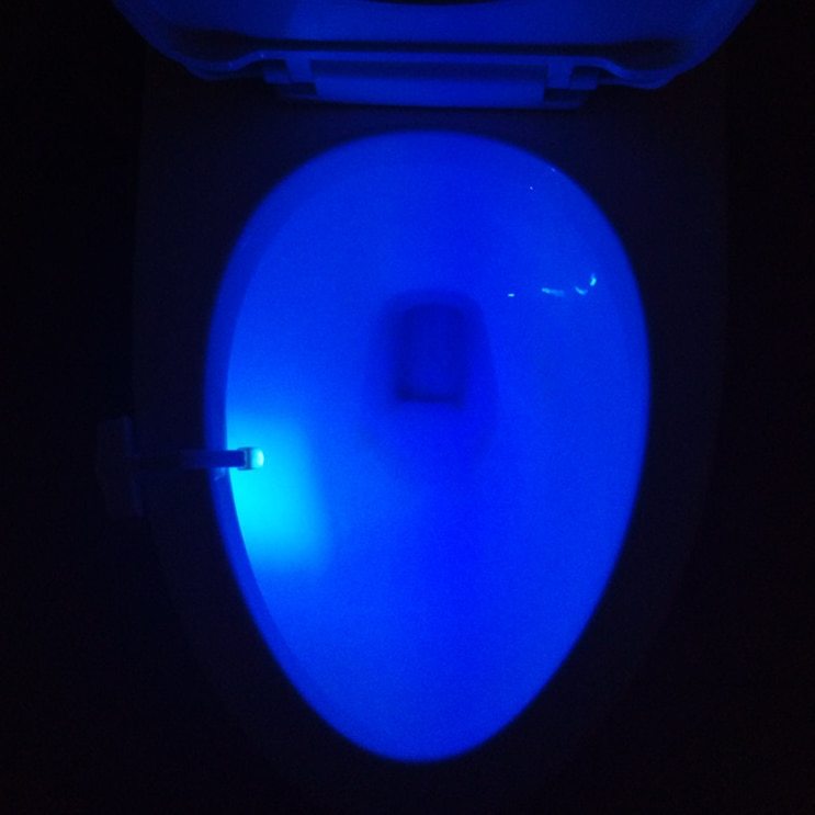 Motion Sensor LED Night Light for Toilets & Bathrooms