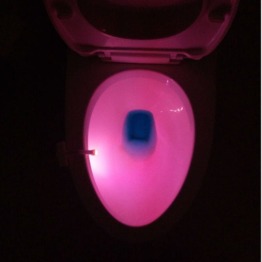 Motion Sensor LED Night Light for Toilets & Bathrooms