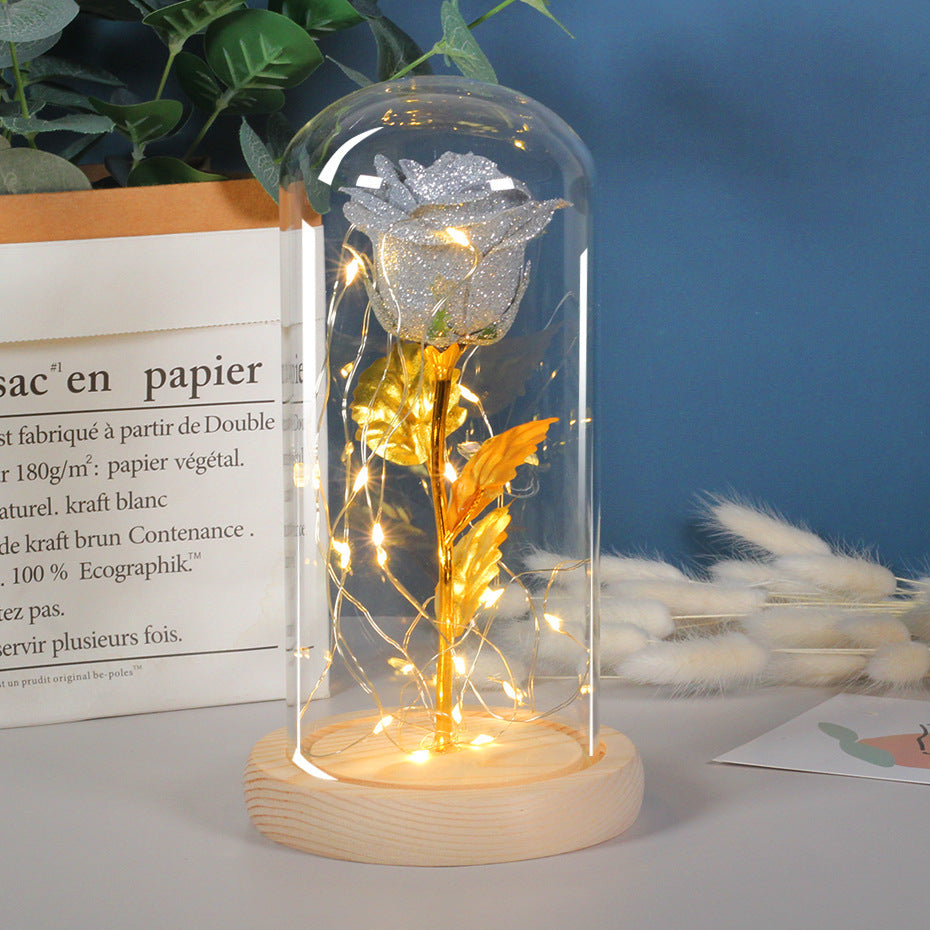 Eternal Rose in Glass Dome with LED Light for Girlfriend