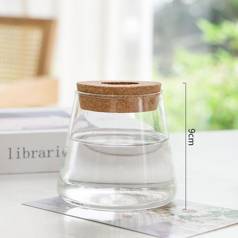 Transparent Glass Hydroponic Vase – Minimalist Plant Holder for Home & Office Decor