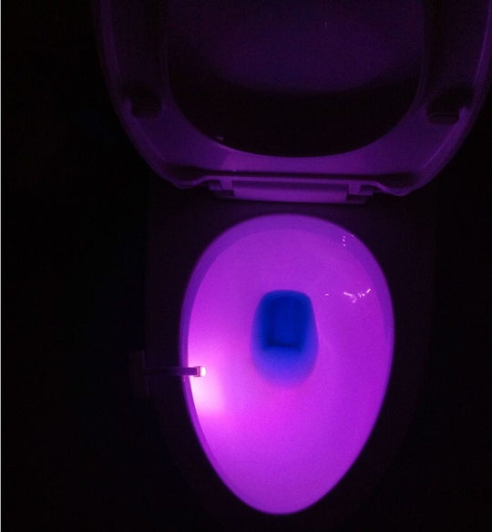 Motion Sensor LED Night Light for Toilets & Bathrooms