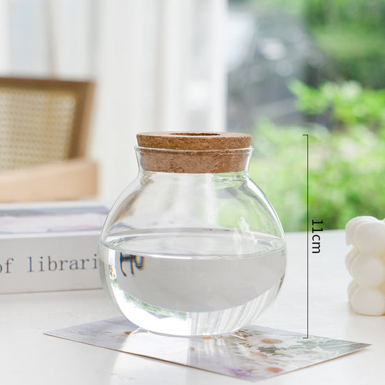 Transparent Glass Hydroponic Vase – Minimalist Plant Holder for Home & Office Decor