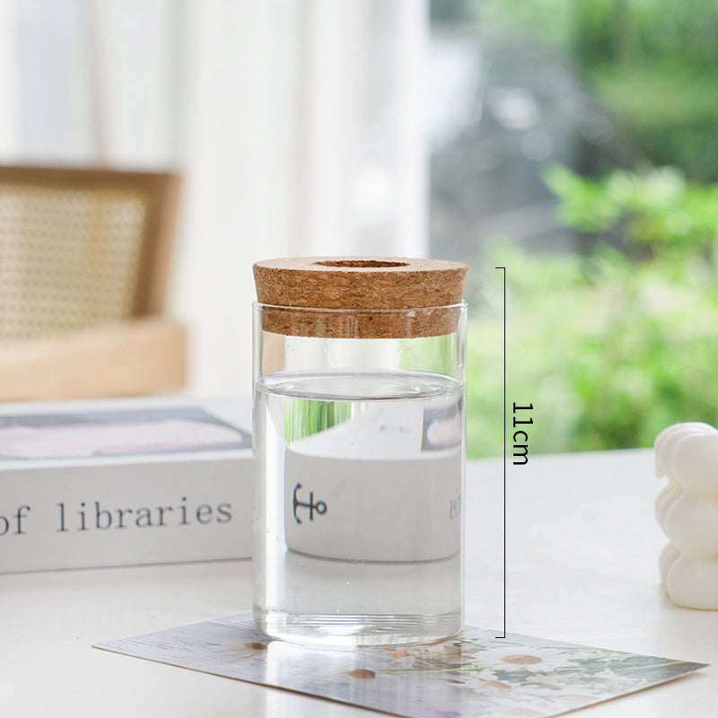Transparent Glass Hydroponic Vase – Minimalist Plant Holder for Home & Office Decor