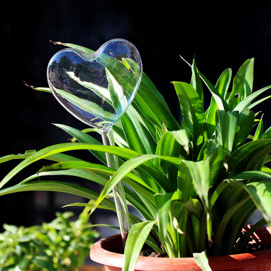 GreenCare AutoWater - Smart Automatic Plant Watering System