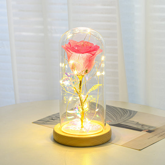 Eternal Rose in Glass Dome with LED Light for Girlfriend
