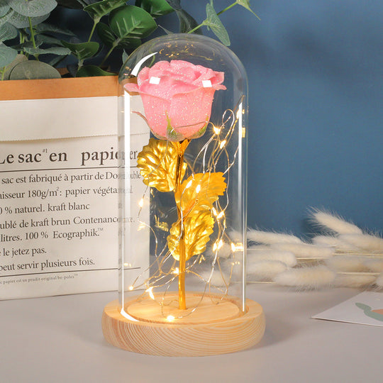 Eternal Rose in Glass Dome with LED Light for Girlfriend