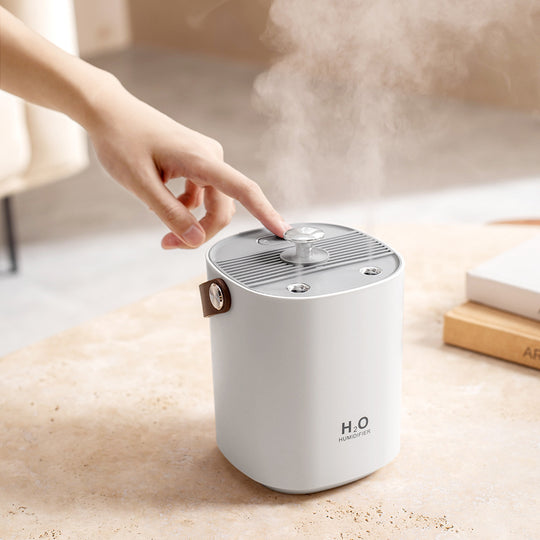 Ultimate Comfort: Dual Spray Mute Portable Humidifier for Home & Office
